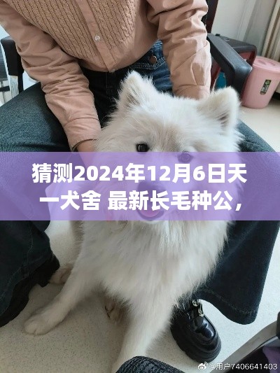 yiqifengfa 第9页