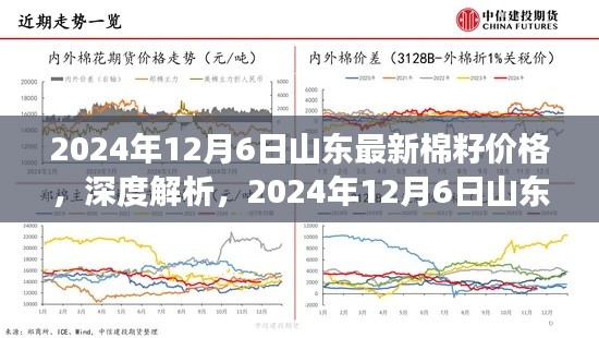 2024年12月6日山东棉籽价格深度解析，最新市场动态与表现