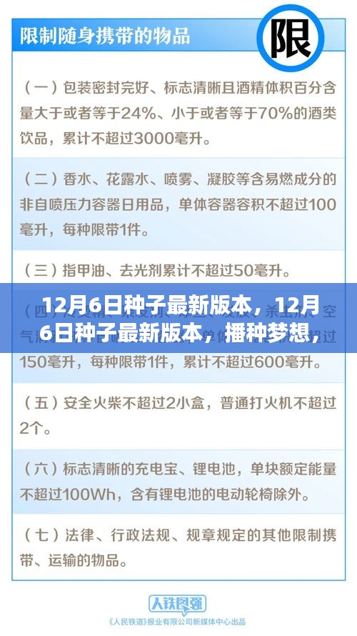 条款 第161页