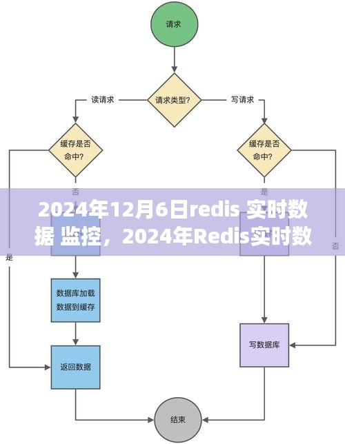 洞悉未来数据洞察与性能优化，Redis实时数据监控在行动（2024年）