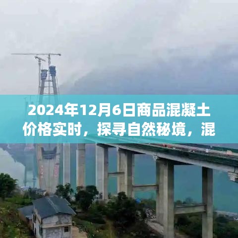 混凝土价格实时更新，探寻自然秘境，启程寻找内心的宁静与和谐之旅