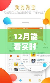 揭秘十二月智能菜价软件的崛起之路，实时追踪菜价，掌握生活脉动的新利器。