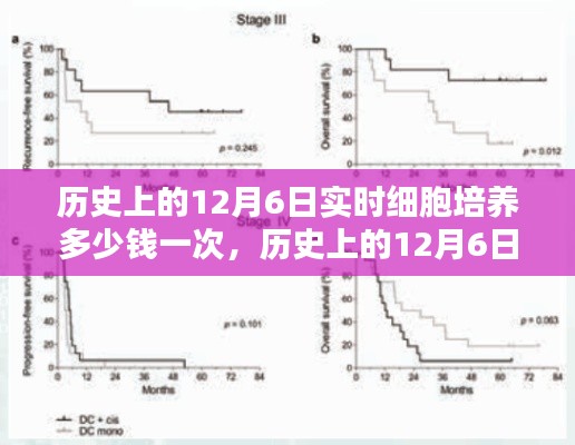 风驰电掣 第10页