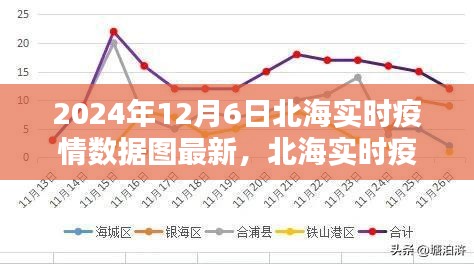 2024年12月6日北海实时疫情数据图更新，聚焦最新动态