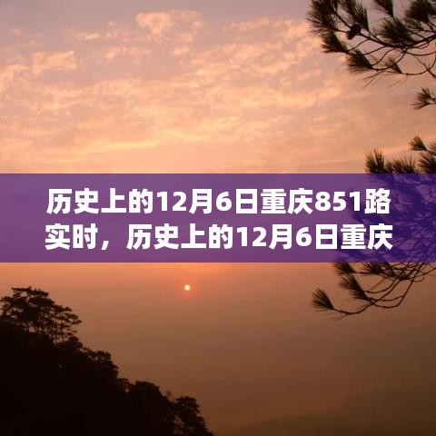 历史上的12月6日重庆851路公交车事件深度解析与探讨