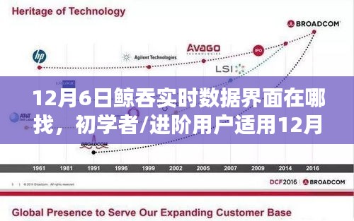 12月6日鲸吞实时数据界面查找全攻略，适合初学者与进阶用户