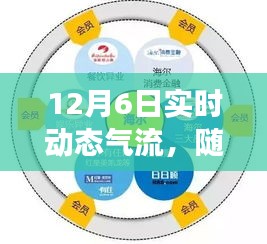 虎视眈眈 第8页