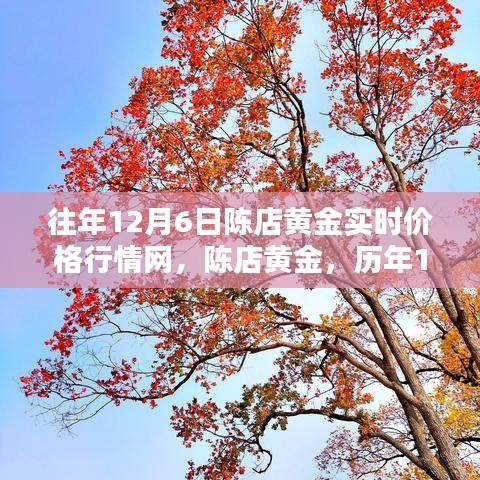 历年12月6日陈店黄金实时价格行情回顾与辉煌展望