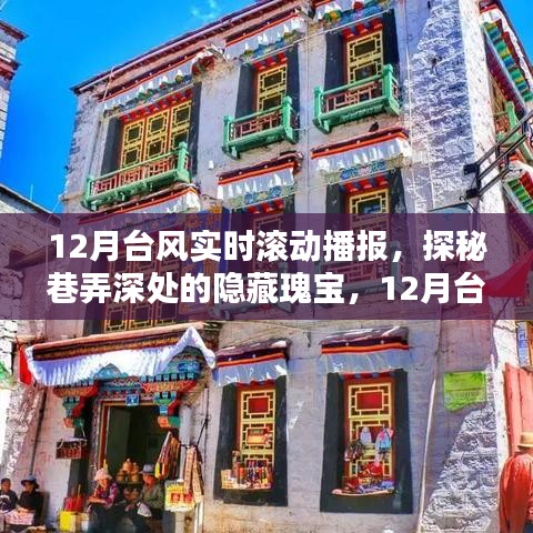 12月台风下的特色小店与巷弄深处的隐藏瑰宝实时滚动播报