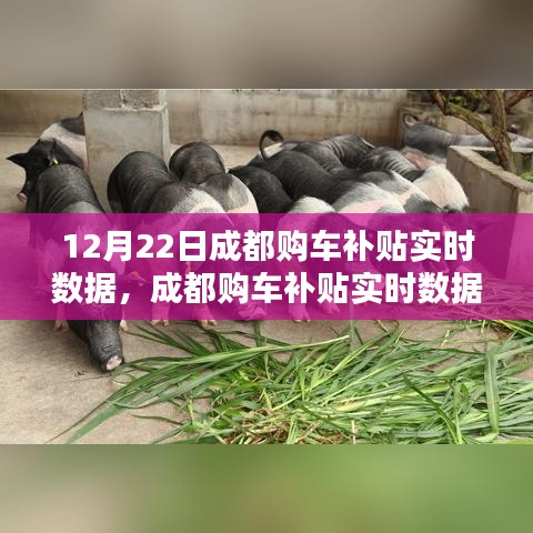 成都购车补贴实时数据解析，以最新数据为例探讨补贴情况