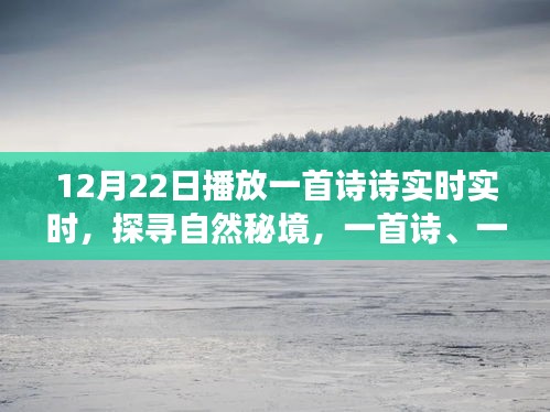 12月22日启程，诗意探寻自然秘境的宁静之旅