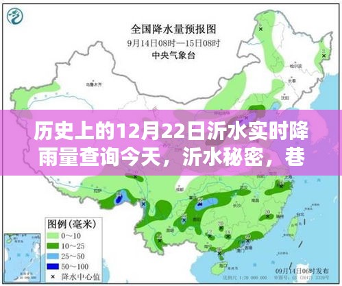 沂水今日实时降雨查询，雨日里的惊喜宝藏与历史深度探索