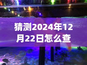 未来塑料实时报价探索之旅，心灵宁静与自然美景的双重追寻