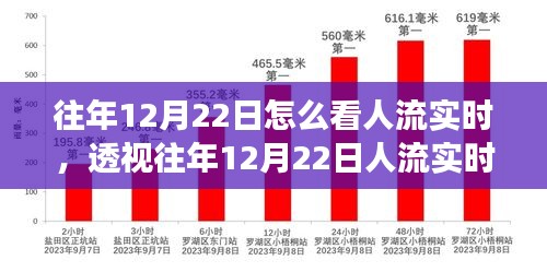 多维度视角分析，透视往年12月22日人流实时数据与流动趋势观察报告