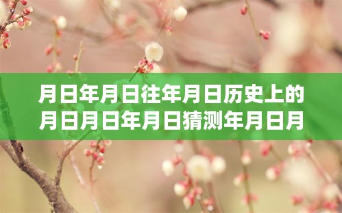 月日年月日鲜花价格查询之旅，历史与实时信息的交汇点