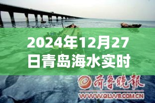 探秘海域新纪元，青岛海水智能监测器实时掌握海水温度的秘密（XXXX年青岛海水温度报告）