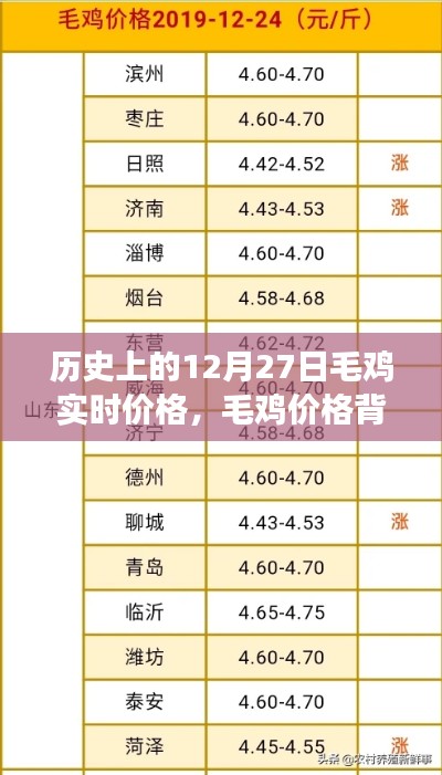 毛鸡价格背后的暖心故事，友情与陪伴的温馨旅程在历史上的今天——毛鸡实时价格记录与故事分享