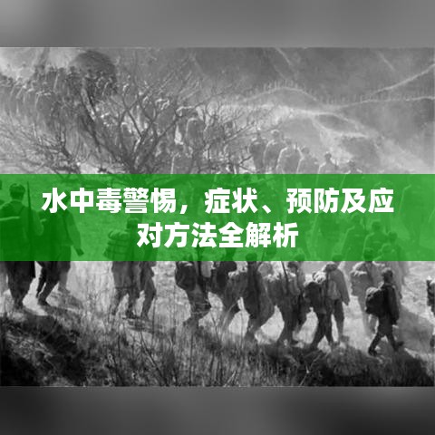 水中毒警惕，症状、预防及应对方法全解析