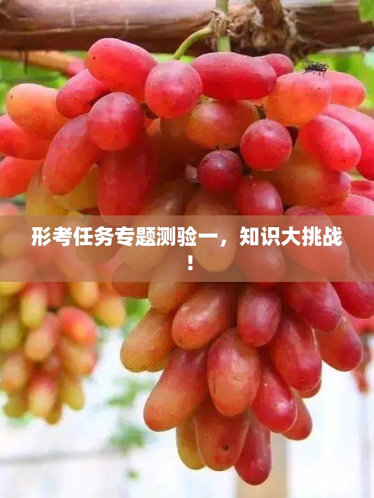 bupiwaqi 第6页