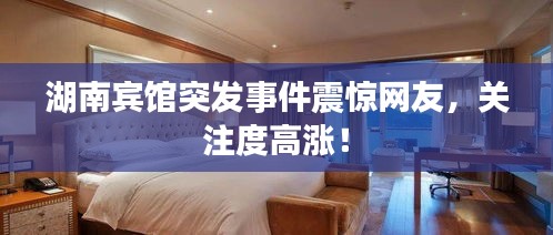 湖南宾馆突发事件震惊网友，关注度高涨！