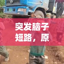 pangaojiegui 第8页