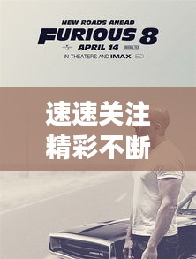 速速关注精彩不断，关注的速度 