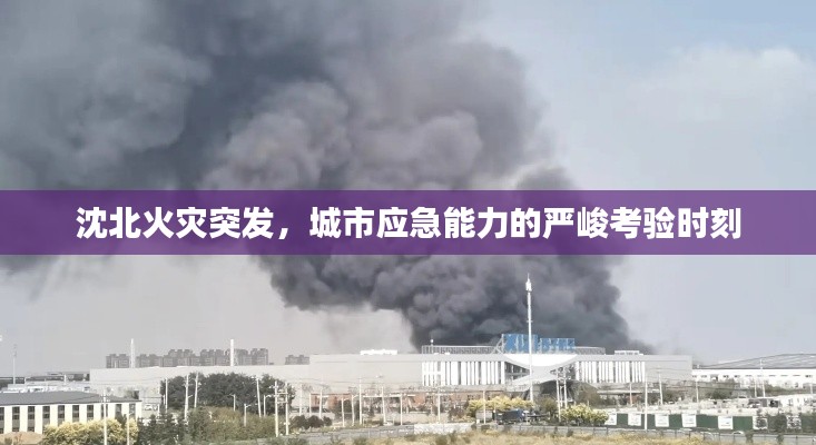 张牙舞爪 第6页
