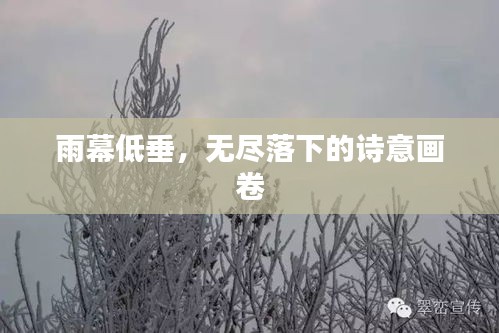 雨幕低垂，无尽落下的诗意画卷