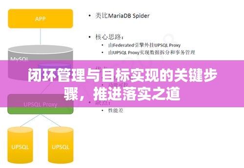 闭环管理与目标实现的关键步骤，推进落实之道