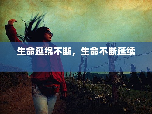bingguishensu 第6页