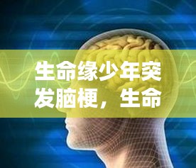 生命缘少年突发脑梗，生命缘脑干 