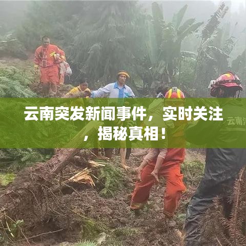云南突发新闻事件，实时关注，揭秘真相！