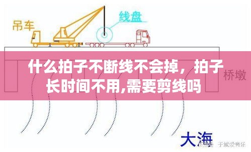 什么拍子不断线不会掉，拍子长时间不用,需要剪线吗 