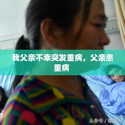 条款 第112页