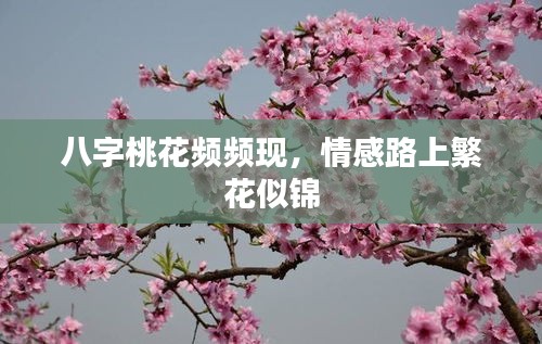 sanrenchenghu 第6页