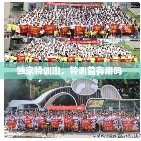 独家特训班，特训营有用吗 
