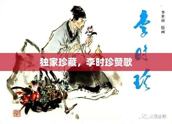 bainiaozhengming 第6页
