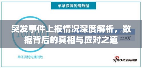突发事件上报情况深度解析，数据背后的真相与应对之道
