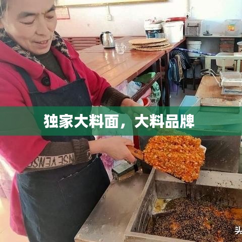 独家大料面，大料品牌 