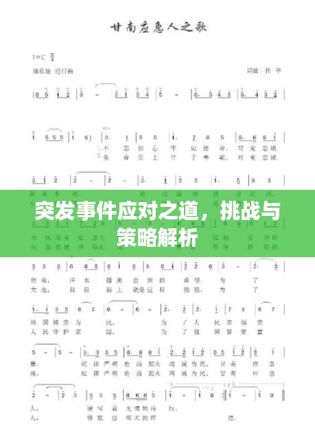 突发事件应对之道，挑战与策略解析