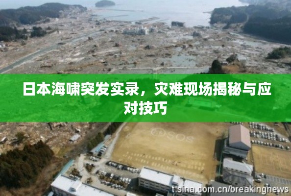 sanrenchenghu 第5页