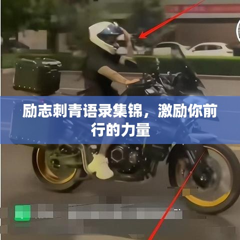 励志刺青语录集锦，激励你前行的力量
