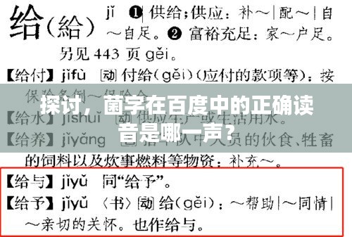 探讨，菌字在百度中的正确读音是哪一声？