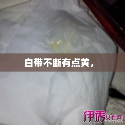 九死一生 第5页