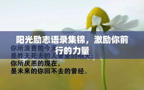 baibiwuxia 第5页