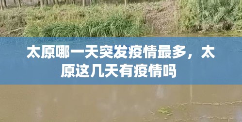 太原哪一天突发疫情最多，太原这几天有疫情吗 