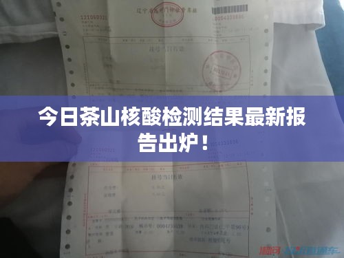 dazhangqigu 第4页