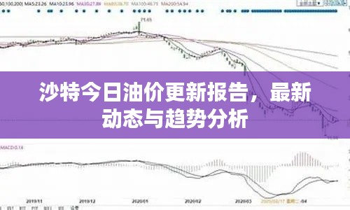 条款 第92页