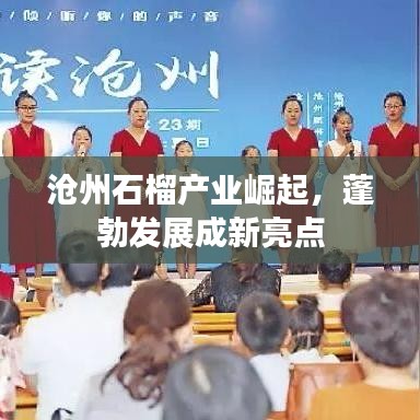 沧州石榴产业崛起，蓬勃发展成新亮点