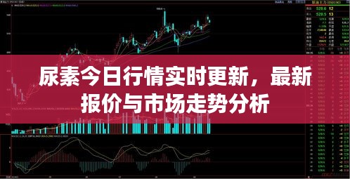 尿素今日行情实时更新，最新报价与市场走势分析